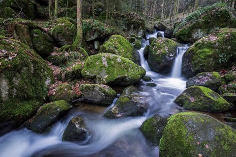 Gertelbach