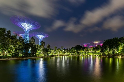Supertrees at dusk
