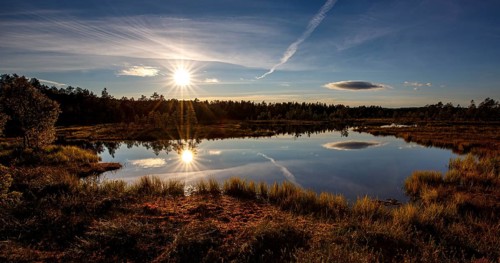 Moor landscape with lake in backlight