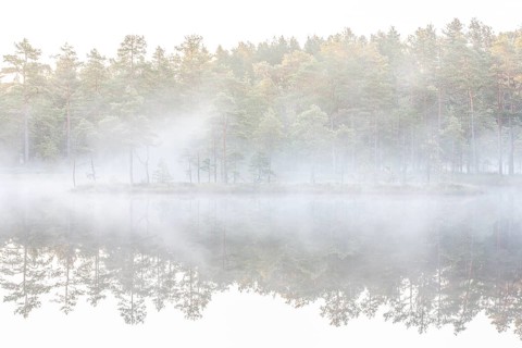 Moor landscape with lake in morning mist