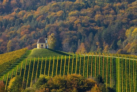 Chapel with vineyard in autumn on the South Styrian Wine Route