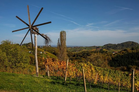 Klapotetz with vineyard in autumn