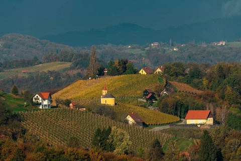 Chapel with vineyard in autumn