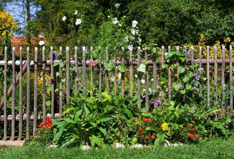 Farmer's garden