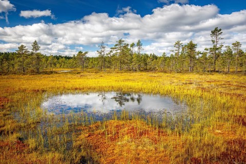 Moor landscape with lake and cloudy sky