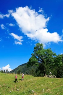 Hikers at the Chiemhauser Alm
