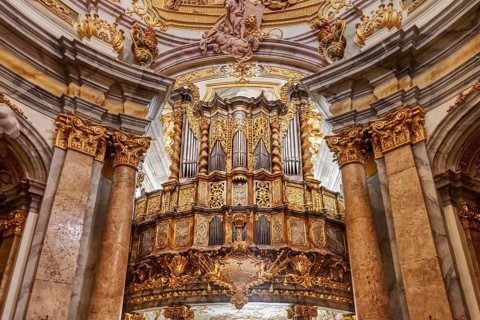 Organ