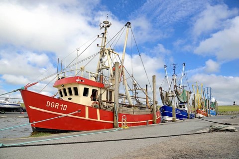 Fishing cutter in the seal harbour Dorum-Neufeld