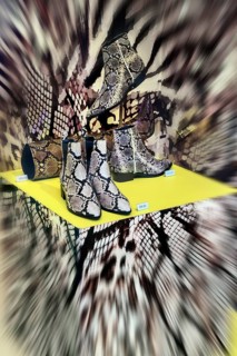Shop window with snakeskin boots