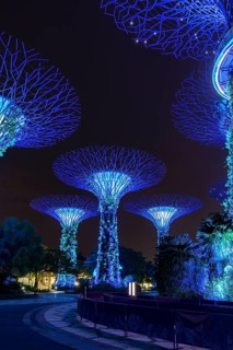 Supertrees at night