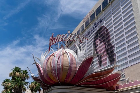 Luxury Hotel Flamingo Hilton