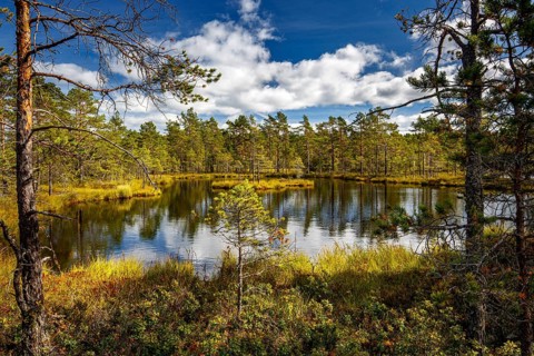 Moor landscape with lake and cloudy sky