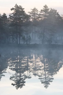 Moor landscape with lake in morning mist