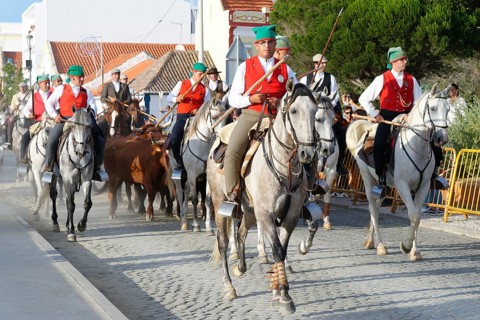 Parade of Horsemen and bulls