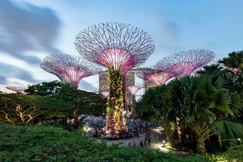Supertrees at dusk