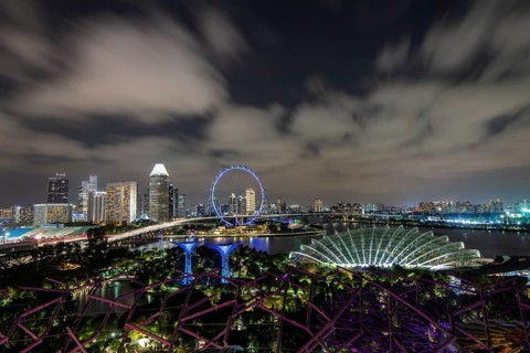 Skyline and Singapore Flyer at night