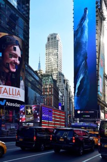 In the middle of Times Square the military recruits in a container