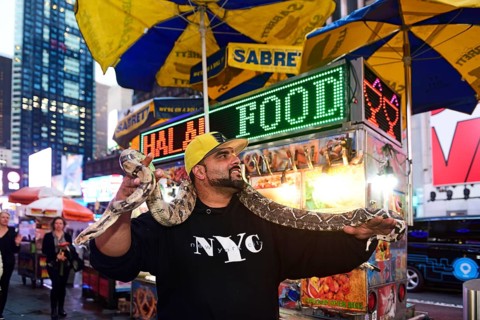 New Yorker gets photographed with Python