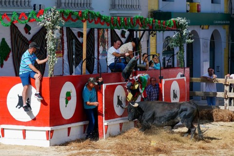 Street corrida during the Festas do Barrete Verde e das Salinas