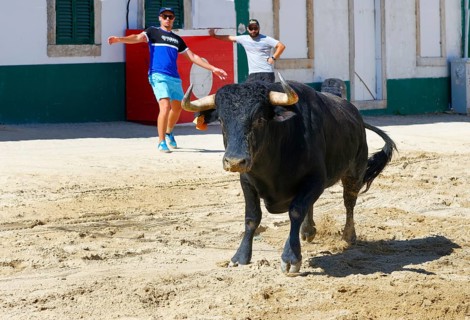 Street corrida during the Festas do Barrete Verde e das Salinas