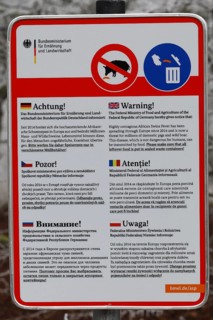 Sign with information on African swine fever