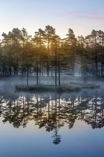 Moor landscape with lake at daybreak
