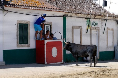 Street corrida during the Festas do Barrete Verde e das Salinas