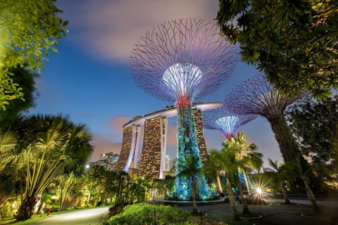 Supertrees at dusk