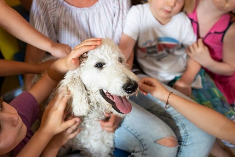 Children stroking dog