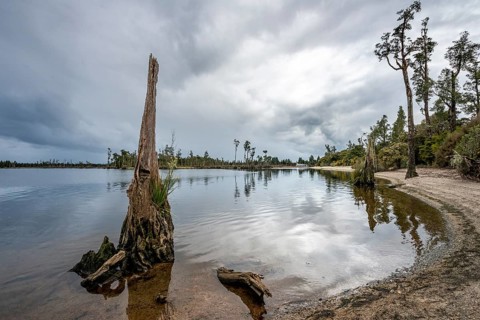 Iveagh Bay on Lake Brunner