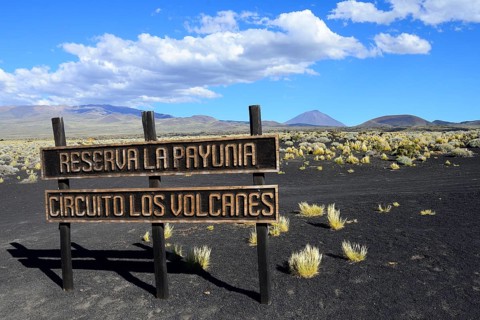 Shield Cirquito los Vulcanes