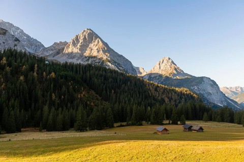 Alpine huts in a meadow