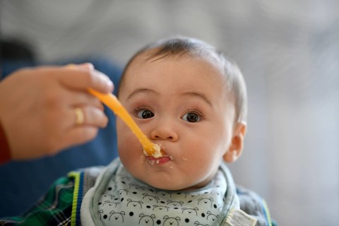 Infant