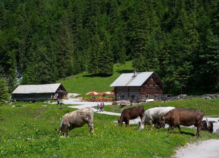 Dachstein massif