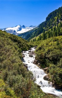 Mountain stream with a view of the Reichenspitze