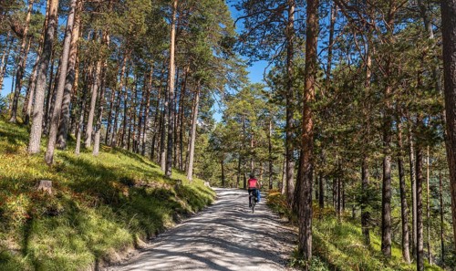 Cyclists