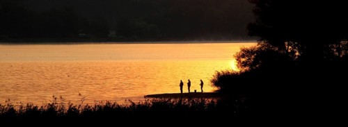 Angler in the dawn