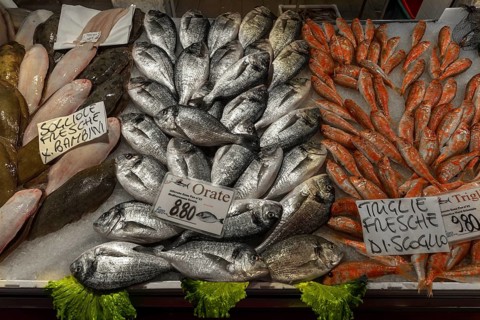 Fresh sea bream (Bramidae) right mullets (Mugilidae)