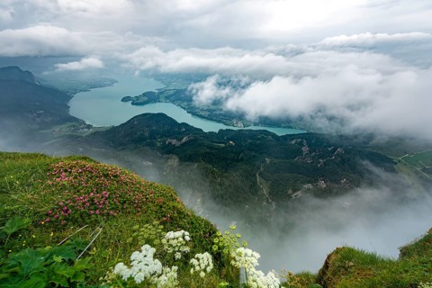 Cloud-covered lake