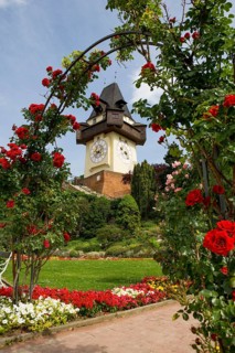 Rose garden on the Schlossberg with clock tower