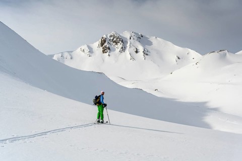 Ski tourers in the snow