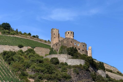 Ruins of Ehrenfels Castle near Ruedesheim