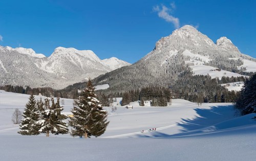 Cross-country skiing trail
