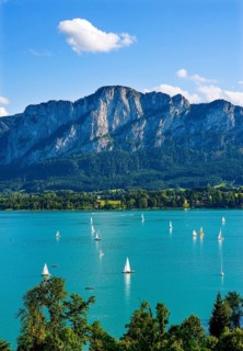 Sailboats with dragon wall