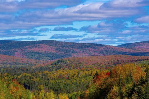Parc National du Mont-Tremblant in Autumn colours.Near St.Donat Laurentians Quebec Canada