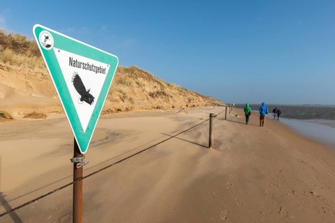 NSG Amrum-Odde