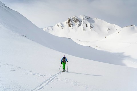 Ski tourers in the snow
