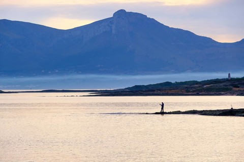 Coast with eagle in the morning light