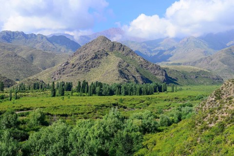 Landscape in Valle de Uco