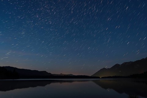 European Starling trails at the Barmasee